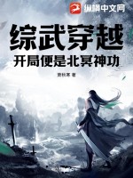 《综武穿越：开局便是北冥神功》